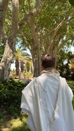 ⁦מארז פרימיום דגם SOUL⁩ – תמונה ⁦4⁩