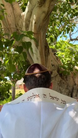 ⁦טלית דגם לורן⁩ – תמונה ⁦2⁩