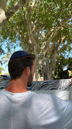 ⁦טלית דגם CAPRI⁩ – תמונה ⁦2⁩