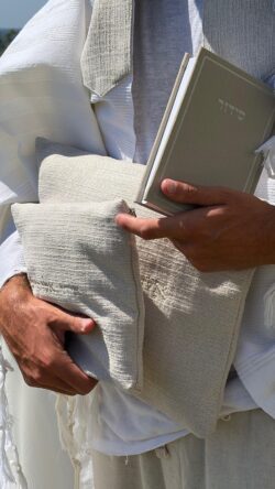⁦כיסויים הרמס | גוון פשתן⁩ – תמונה ⁦2⁩