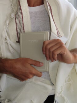 ⁦מארז פרימיום CELINE⁩ – תמונה ⁦4⁩